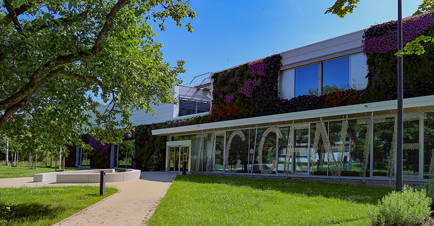 Sustainibility-economical